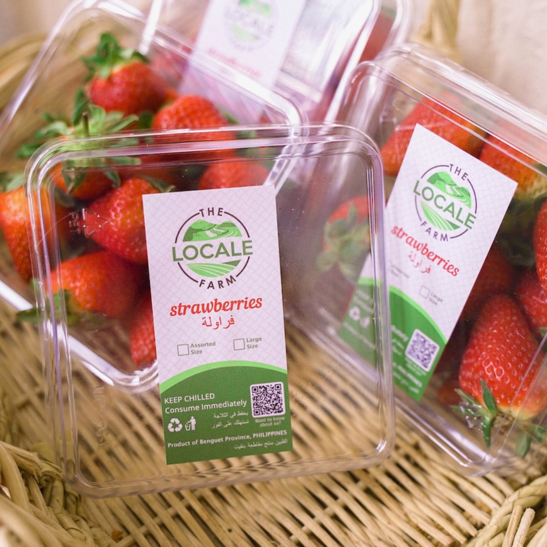 Jumbo Strawberries 1 pack The Locale Farm
