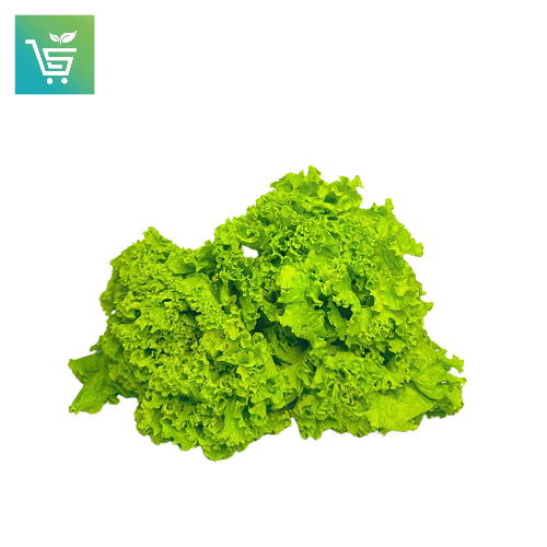Lettuce Green Ice