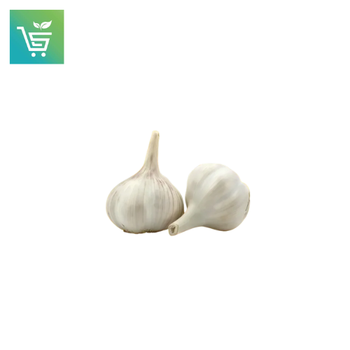 Garlic Native