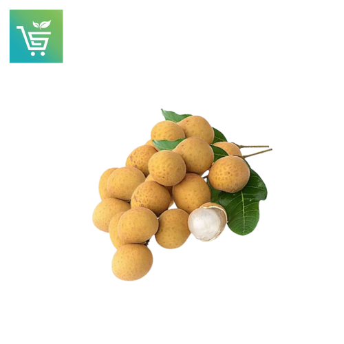 LONGAN FRUIT