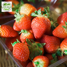 Load image into Gallery viewer, Assorted Sizes Strawberries 1 pack
