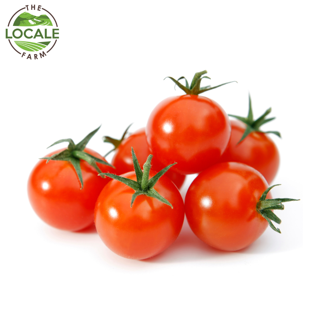 Tomato Cherry