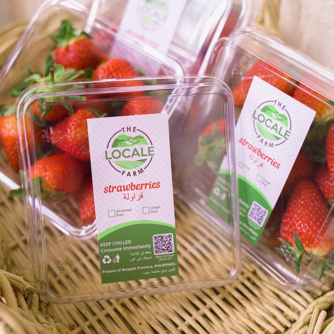 Jumbo Strawberries 1 pack