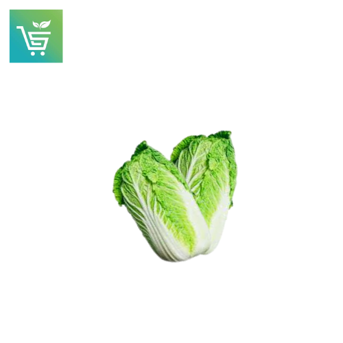 Chinese Cabbage