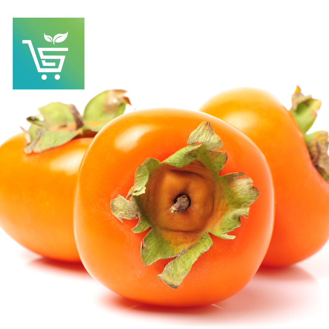 Persimmon Native/Local